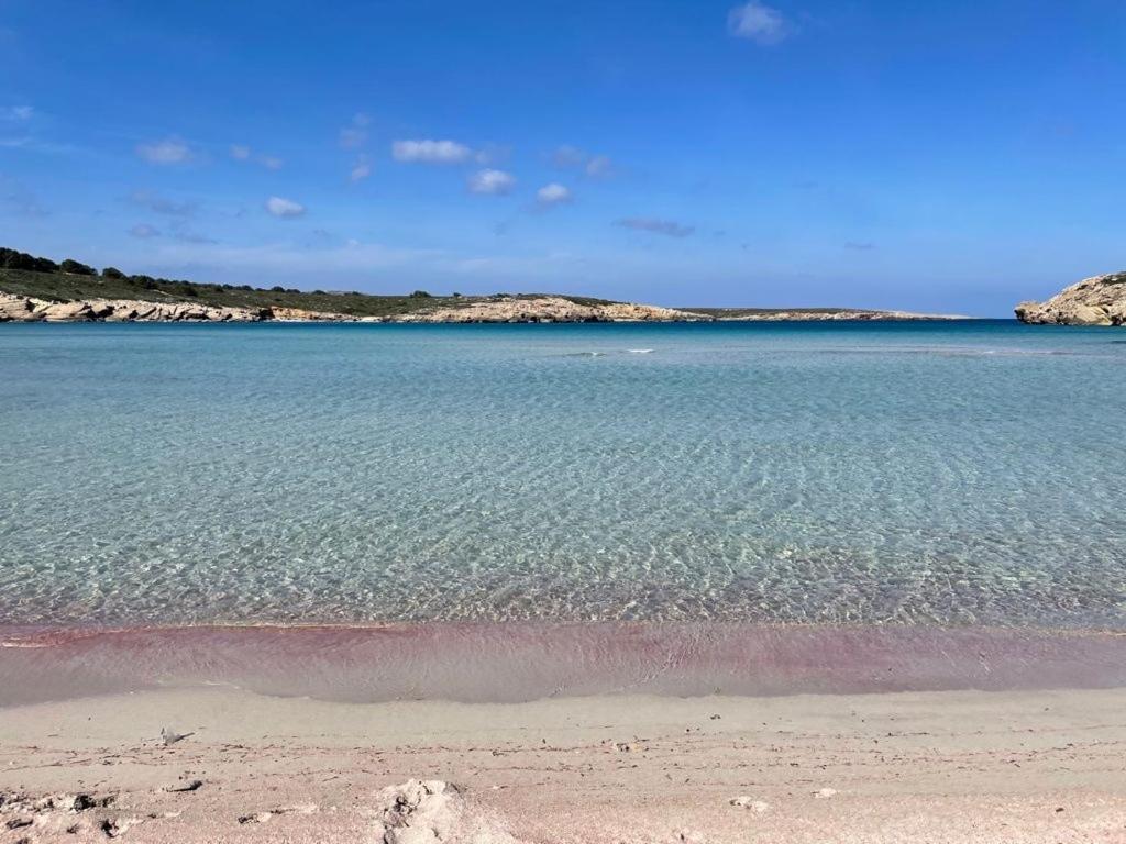 Apartamento Brisa De Menorca Son Parc Eksteriør bilde