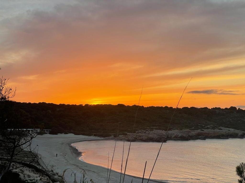 Apartamento Brisa De Menorca Son Parc Eksteriør bilde